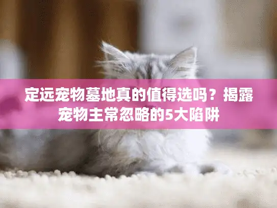 定远宠物墓地真的值得选吗？揭露宠物主常忽略的5大陷阱