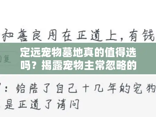 定远宠物墓地真的值得选吗？揭露宠物主常忽略的5大陷阱