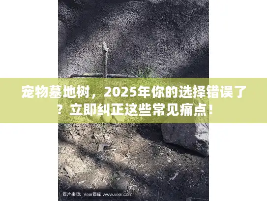 宠物墓地树，2025年你的选择错误了？立即纠正这些常见痛点！