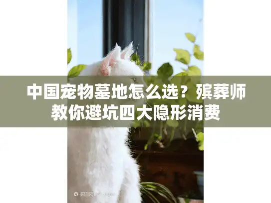 中国宠物墓地怎么选？殡葬师教你避坑四大隐形消费
