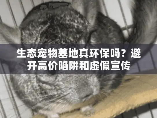生态宠物墓地真环保吗？避开高价陷阱和虚假宣传