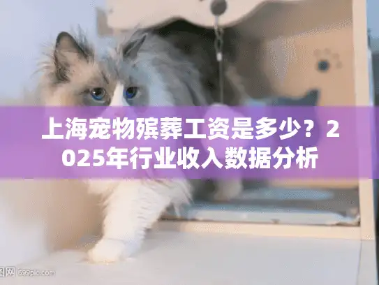 上海宠物殡葬工资是多少？2025年行业收入数据分析