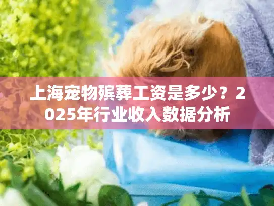 上海宠物殡葬工资是多少？2025年行业收入数据分析