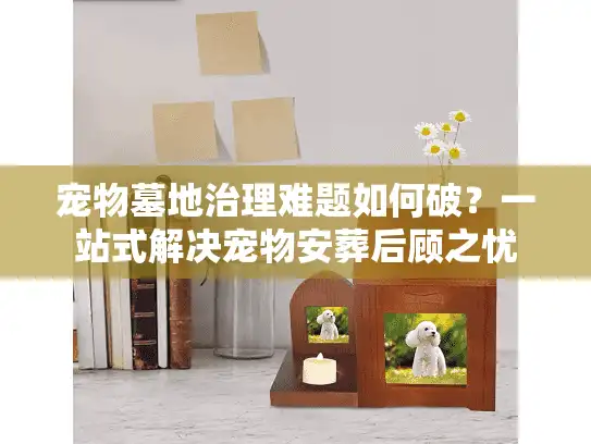 宠物墓地治理难题如何破？一站式解决宠物安葬后顾之忧