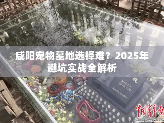 咸阳宠物墓地选择难？2025年避坑实战全解析