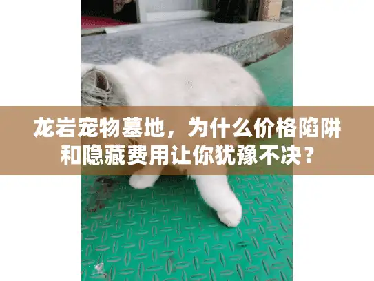 龙岩宠物墓地，为什么价格陷阱和隐藏费用让你犹豫不决？