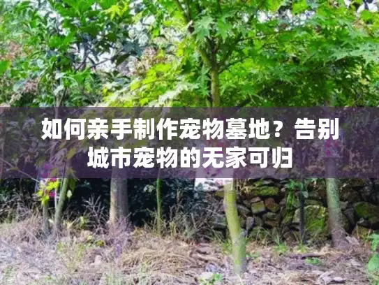 如何亲手制作宠物墓地？告别城市宠物的无家可归