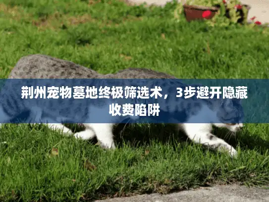 荆州宠物墓地终极筛选术，3步避开隐藏收费陷阱