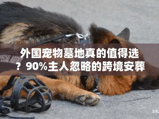 外国宠物墓地真的值得选？90%主人忽略的跨境安葬隐患