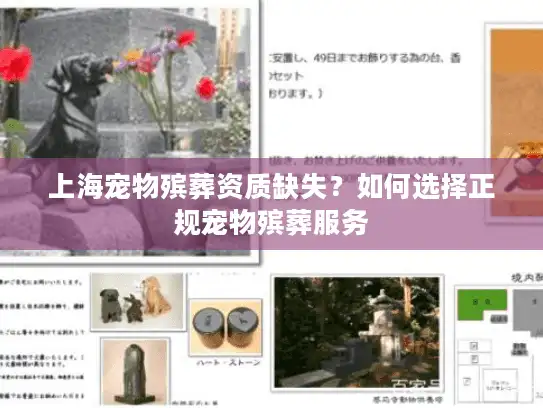 上海宠物殡葬资质缺失？如何选择正规宠物殡葬服务