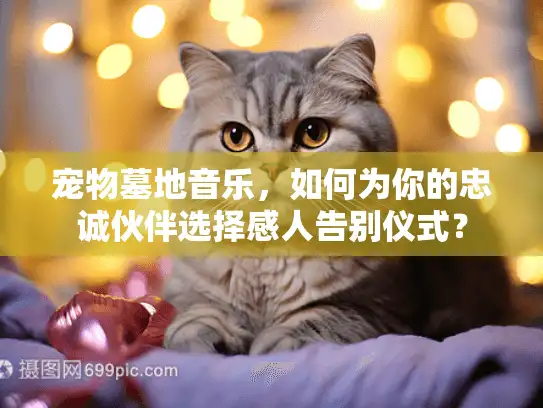 宠物墓地音乐，如何为你的忠诚伙伴选择感人告别仪式？
