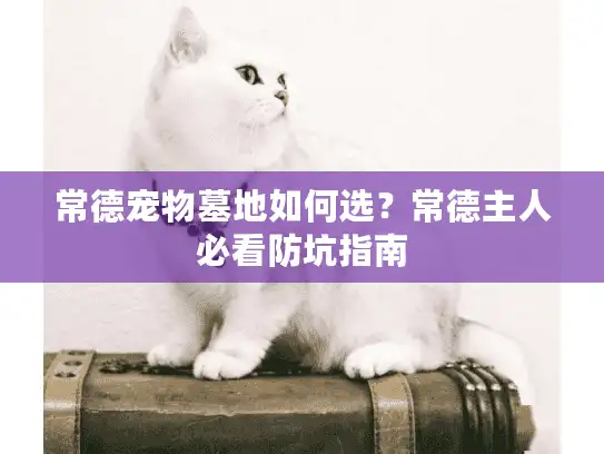 常德宠物墓地如何选？常德主人必看防坑指南