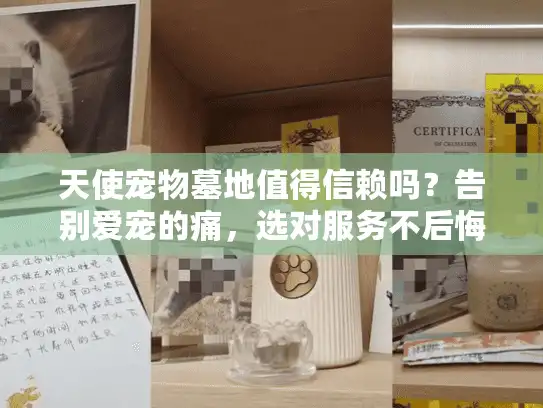 天使宠物墓地值得信赖吗？告别爱宠的痛，选对服务不后悔