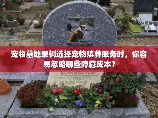 宠物墓地果树选择宠物殡葬服务时，你容易忽略哪些隐藏成本？
