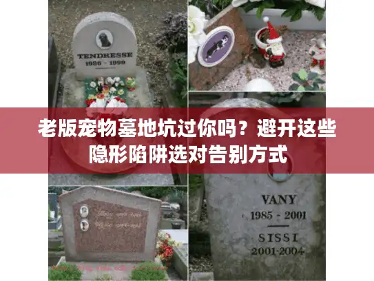 老版宠物墓地坑过你吗？避开这些隐形陷阱选对告别方式