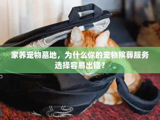 家养宠物墓地，为什么你的宠物殡葬服务选择容易出错？