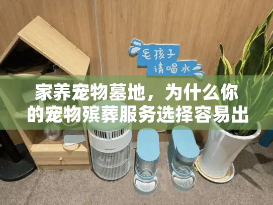 家养宠物墓地，为什么你的宠物殡葬服务选择容易出错？