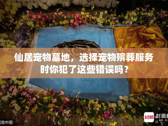 仙居宠物墓地，选择宠物殡葬服务时你犯了这些错误吗？