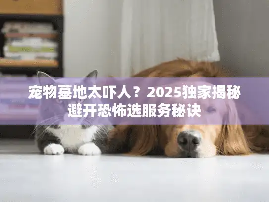 宠物墓地太吓人？2025独家揭秘避开恐怖选服务秘诀