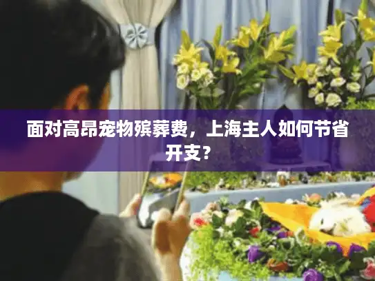 面对高昂宠物殡葬费，上海主人如何节省开支？