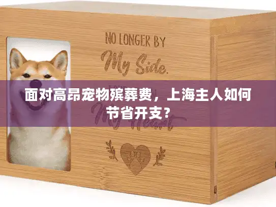 面对高昂宠物殡葬费，上海主人如何节省开支？