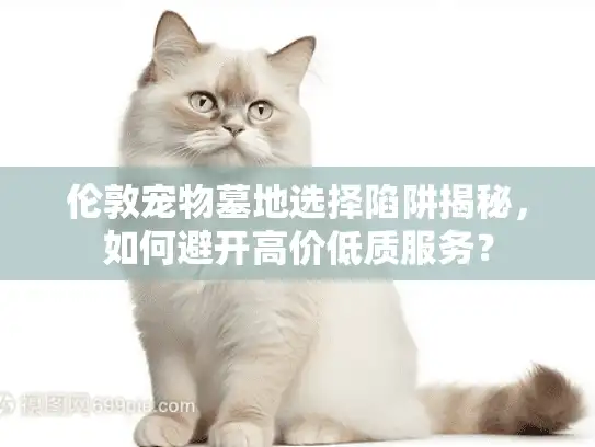 伦敦宠物墓地选择陷阱揭秘，如何避开高价低质服务？