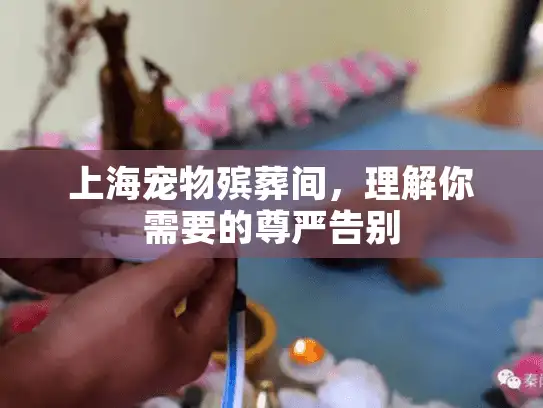 上海宠物殡葬间，理解你需要的尊严告别