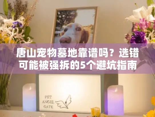 唐山宠物墓地靠谱吗？选错可能被强拆的5个避坑指南