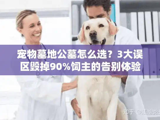 宠物墓地公墓怎么选？3大误区毁掉90%饲主的告别体验