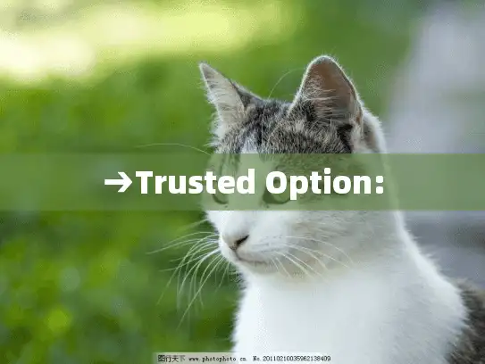 →Trusted Option: