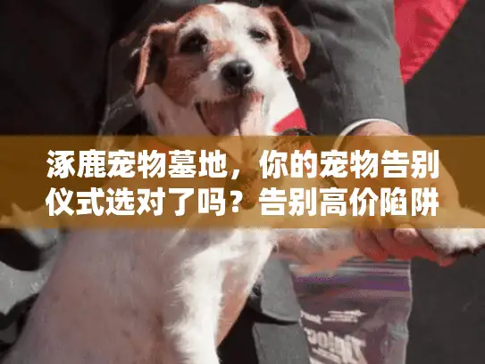 涿鹿宠物墓地，你的宠物告别仪式选对了吗？告别高价陷阱和情感遗憾！