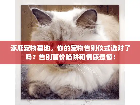 涿鹿宠物墓地，你的宠物告别仪式选对了吗？告别高价陷阱和情感遗憾！