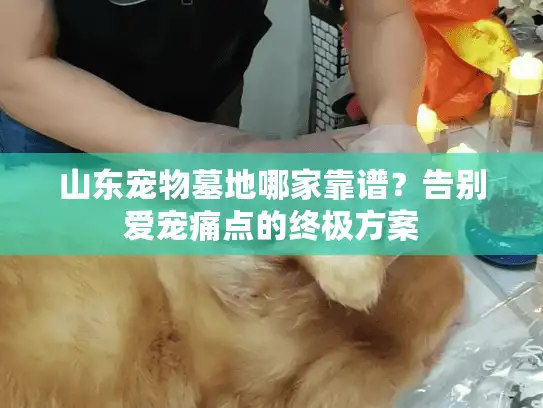 山东宠物墓地哪家靠谱？告别爱宠痛点的终极方案