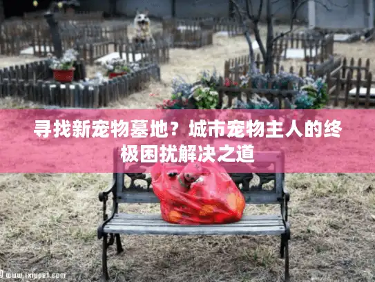 寻找新宠物墓地？城市宠物主人的终极困扰解决之道