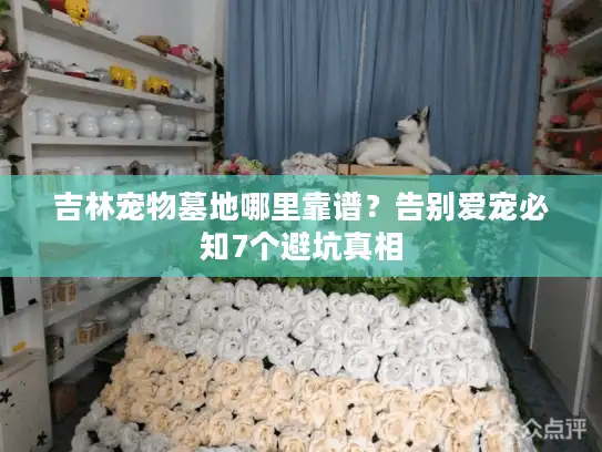 吉林宠物墓地哪里靠谱？告别爱宠必知7个避坑真相