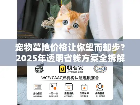 宠物墓地价格让你望而却步？2025年透明省钱方案全拆解
