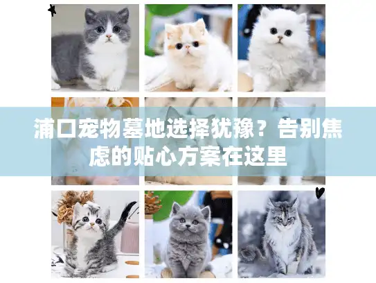 浦口宠物墓地选择犹豫？告别焦虑的贴心方案在这里