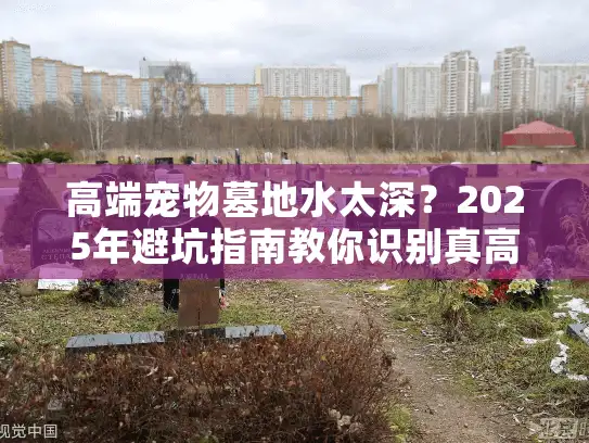 高端宠物墓地水太深？2025年避坑指南教你识别真高端