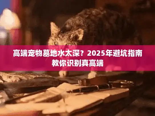 高端宠物墓地水太深？2025年避坑指南教你识别真高端
