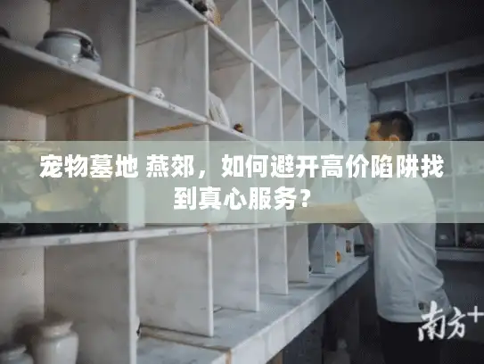 宠物墓地 燕郊，如何避开高价陷阱找到真心服务？
