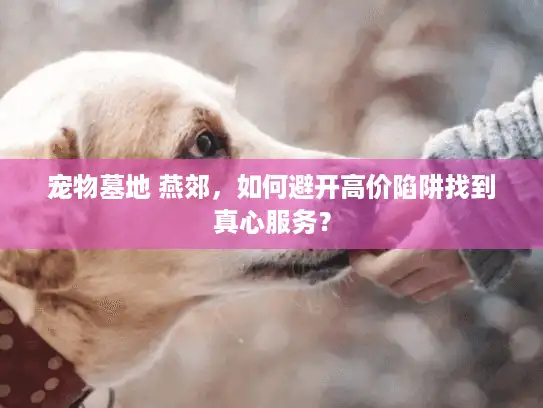 宠物墓地 燕郊，如何避开高价陷阱找到真心服务？