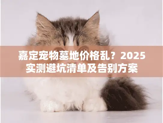 嘉定宠物墓地价格乱？2025实测避坑清单及告别方案