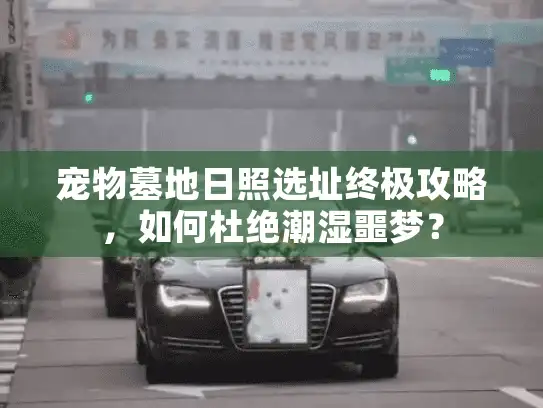 宠物墓地日照选址终极攻略，如何杜绝潮湿噩梦？