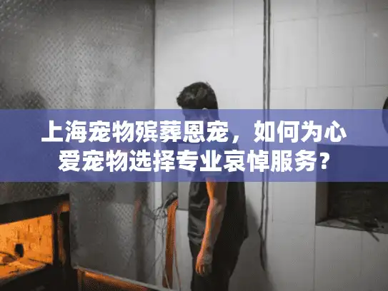 上海宠物殡葬恩宠，如何为心爱宠物选择专业哀悼服务？