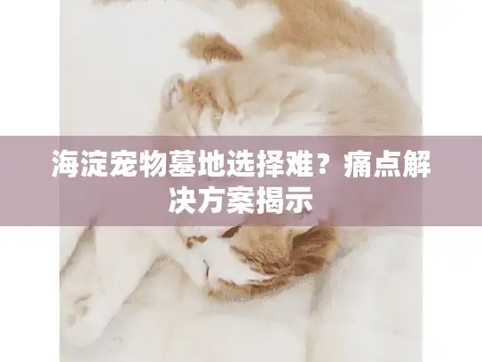 海淀宠物墓地选择难？痛点解决方案揭示