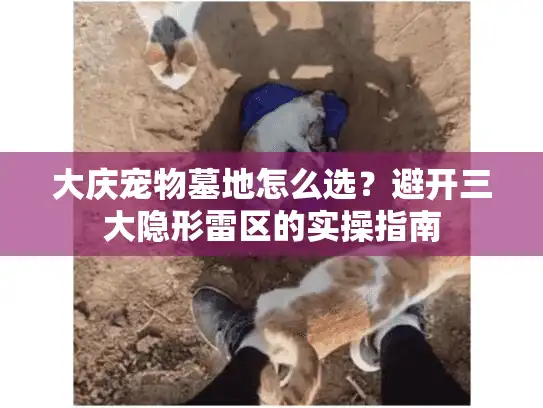 大庆宠物墓地怎么选？避开三大隐形雷区的实操指南