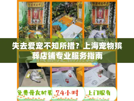 失去爱宠不知所措？上海宠物殡葬店铺专业服务指南