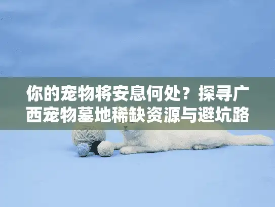 你的宠物将安息何处？探寻广西宠物墓地稀缺资源与避坑路线图