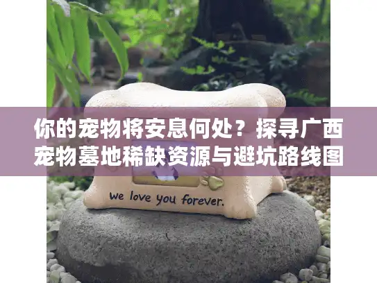 你的宠物将安息何处？探寻广西宠物墓地稀缺资源与避坑路线图