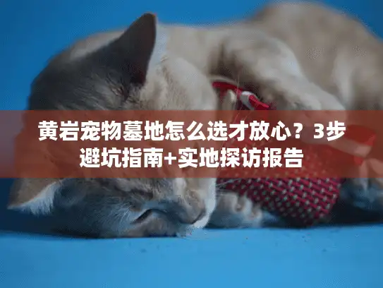 黄岩宠物墓地怎么选才放心？3步避坑指南+实地探访报告